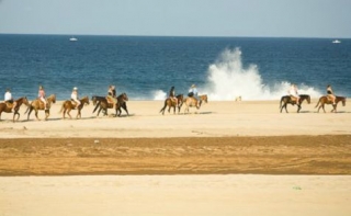 Baja california a caballo